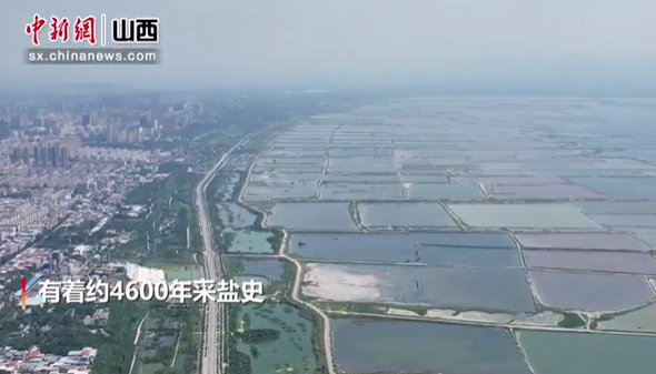 海外华文媒体走进运城 观千年盐湖“蝶变”