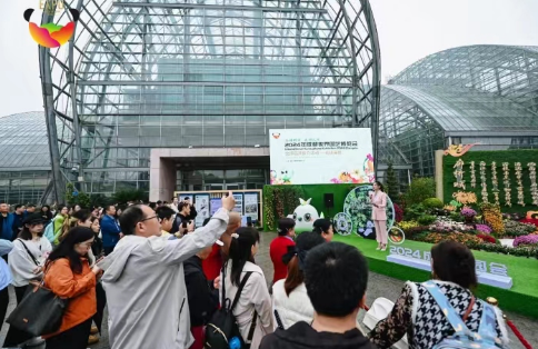 International Horticultural Exhibition 2024 Chengdu Appears at Chongqing Chrysanthemum Exhibition