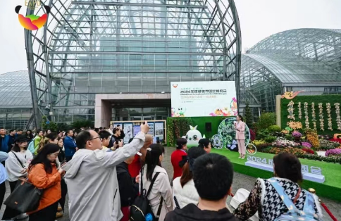 International Horticultural Exhibition 2024 Chengdu Appears at  Chongqing Chrysanthemum Exhibition