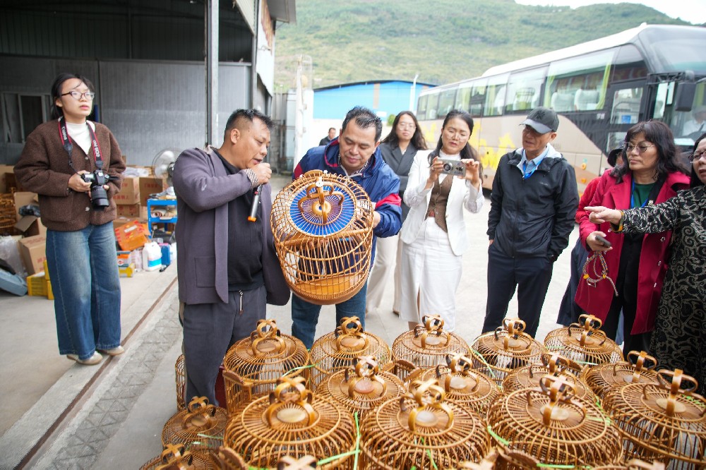 【视频】壮族竹编海洋鸟笼 与众不同